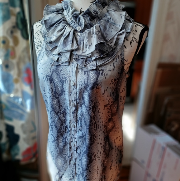 J. Crew 100% Silk sleeveless button down blouse - Picture 3 of 5